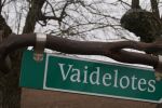Vaidelotes_1.jpg